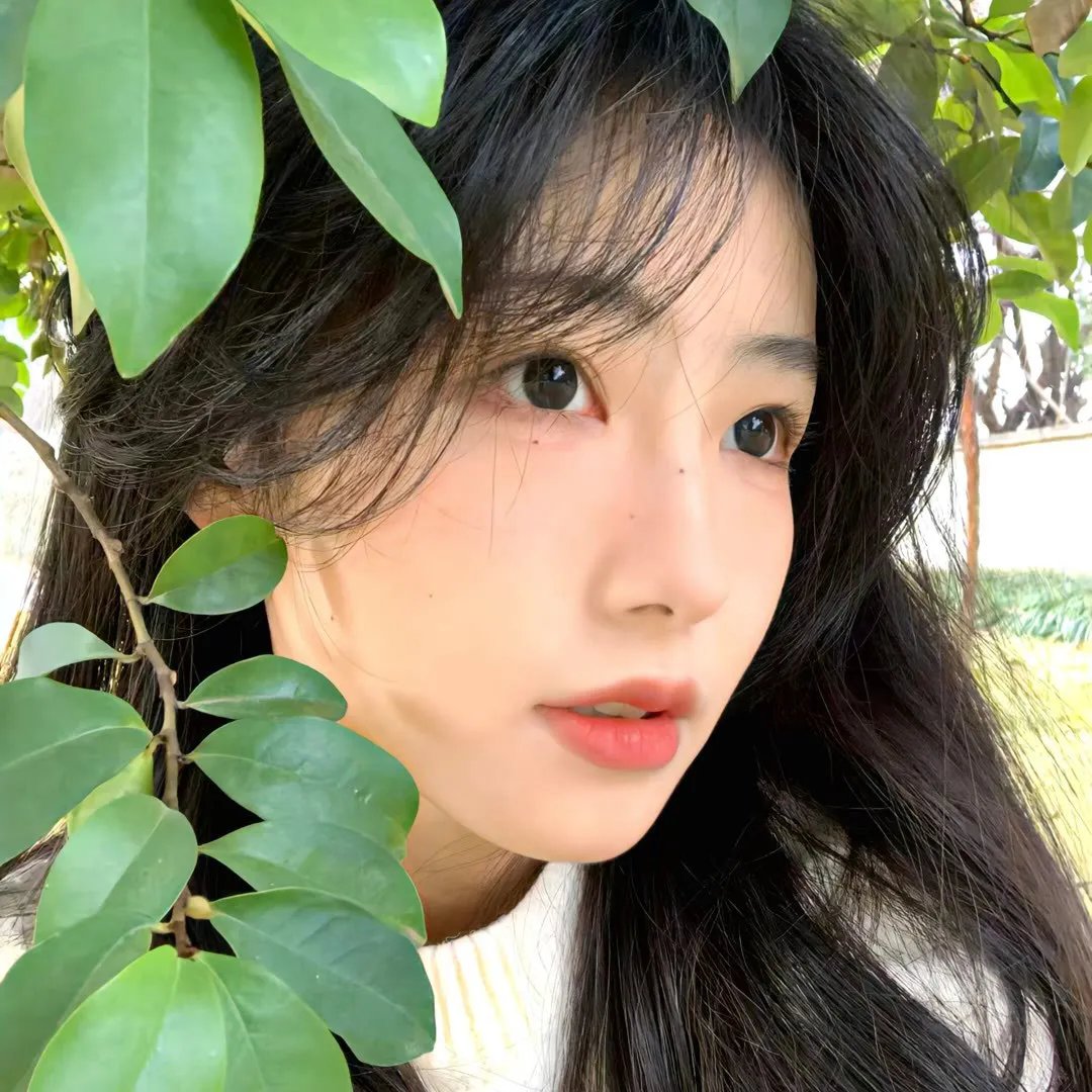 铳梦：战斗天使